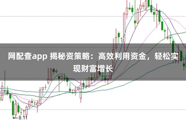 网配查app 揭秘资策略：高效利用资金，轻松实现财富增长