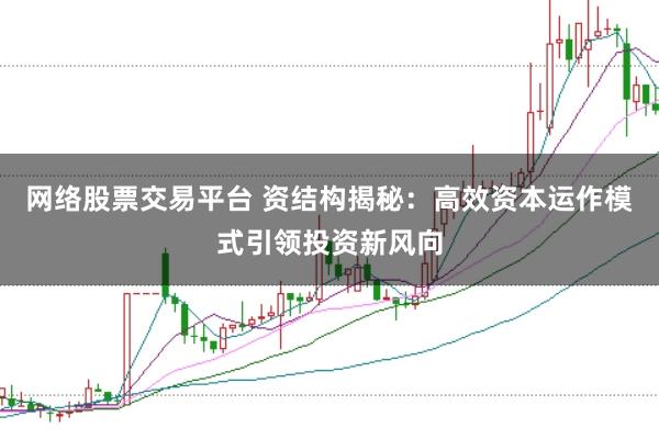 网络股票交易平台 资结构揭秘：高效资本运作模式引领投资新风向